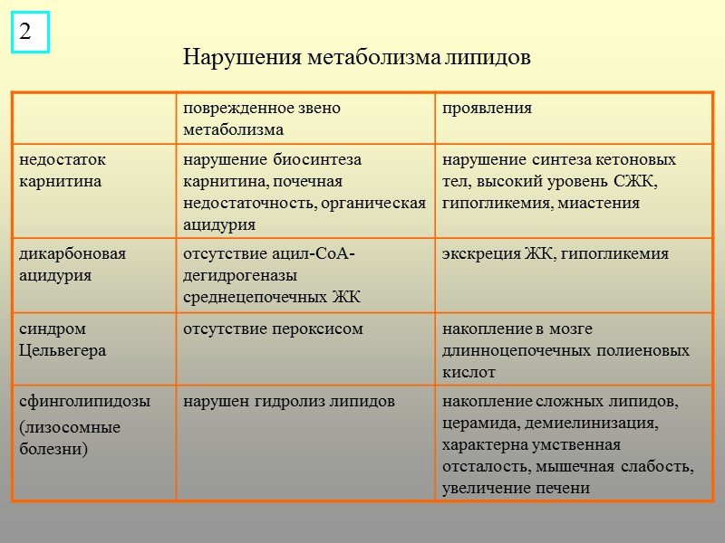 Нарушения метаболизма липидов 2